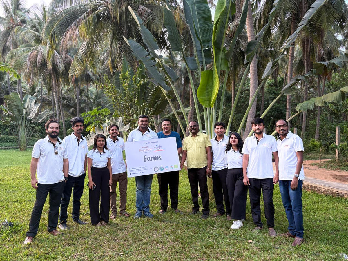 Our Team