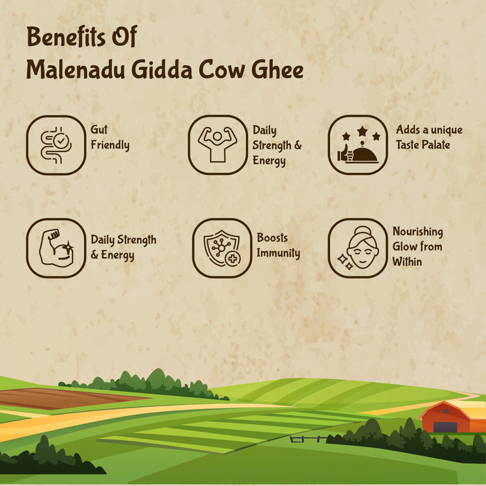 Malenadu Gidda Cow Ghee: Handcrafted Tradition & Nature's Pure Essence in Every Drop.