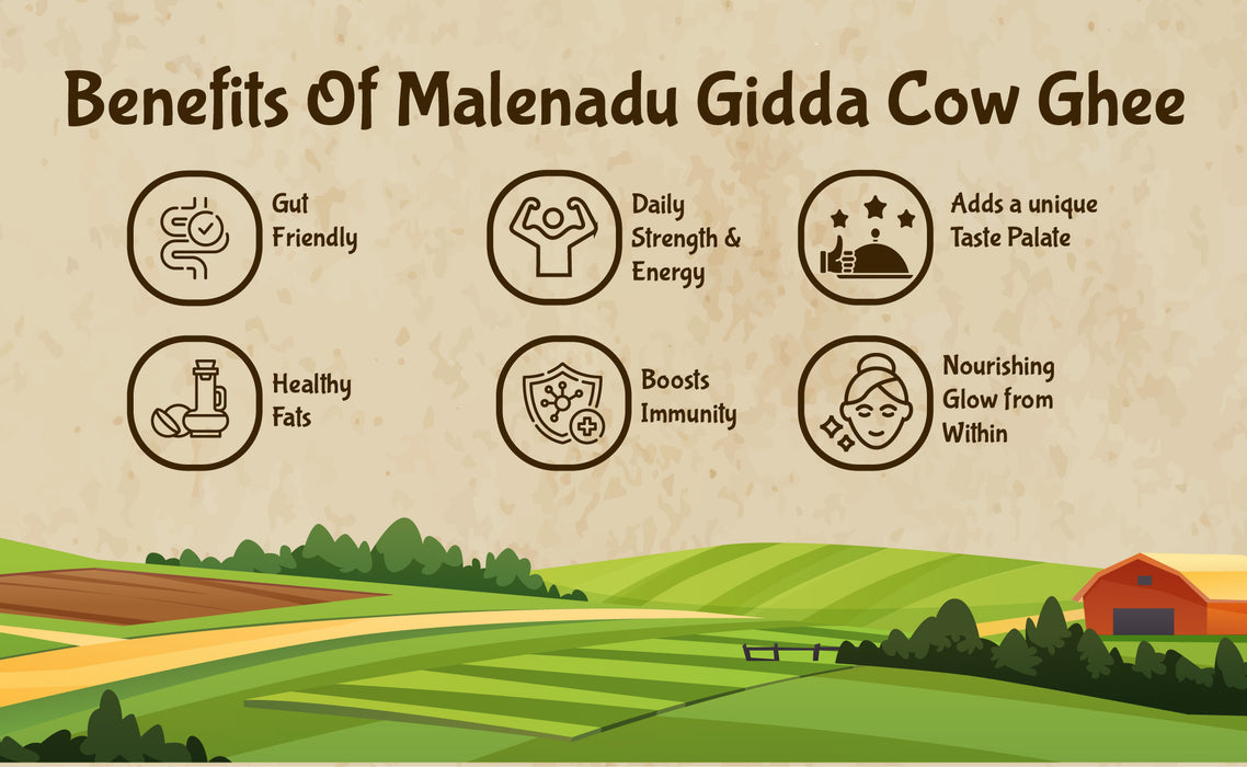 Malenadu Gidda Cow Ghee: Handcrafted Tradition & Nature's Pure Essence in Every Drop.