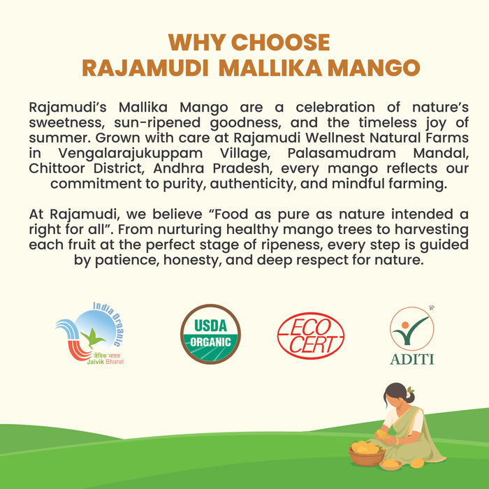 Rajamudi Organics — Organic Mallika Mangoes | Fibre-Free, Intensely Aromatic | Farm-Fresh Seasonal Delivery